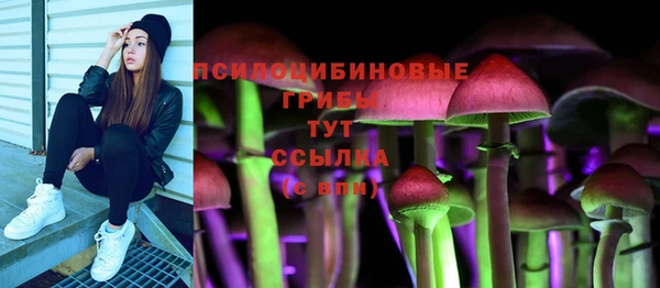 соль ск Бронницы