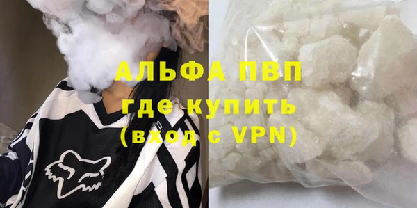стафф Бородино