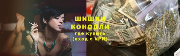 соль ск Бронницы