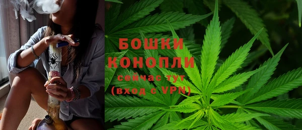 стафф Бородино