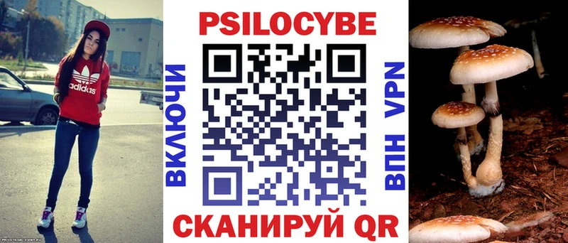 Псилоцибиновые грибы Cubensis  Рузаевка 
